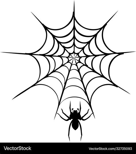 Spider web Royalty Free Vector Image - VectorStock