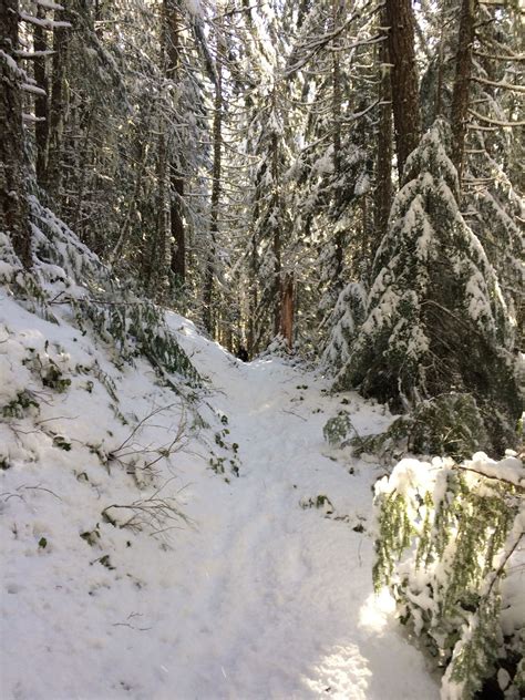 Paradise Park Trail - Oregon | AllTrails