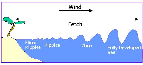 The formation of fully developed sea waves (Url-1) | Download ...