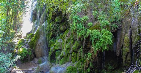 Hike to Gorman Falls, Austin