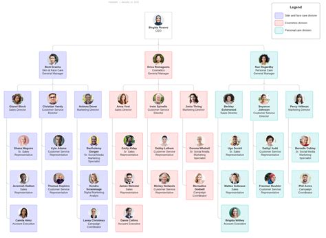 Types of Organizational Structures | Lucidchart Blog