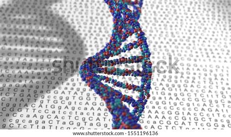 740 Human Genome Map Images, Stock Photos & Vectors | Shutterstock