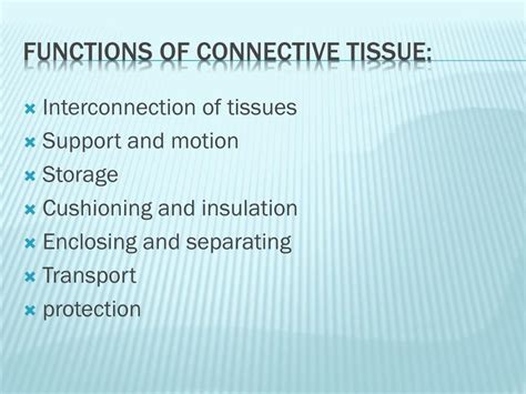 PPT - Connective tissue PowerPoint Presentation, free download - ID:1852542