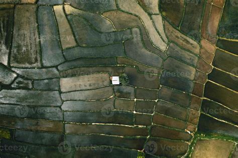 Landscape paddy rice field in Asia, aerial view of rice fields 3322581 ...