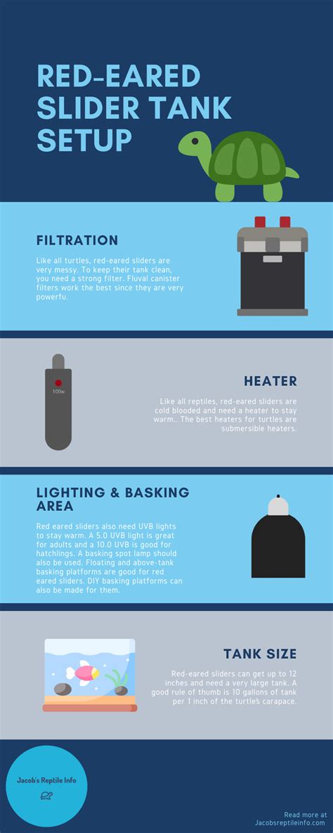 Red Eared Slider Tank Setup - Jacob's Reptile Info