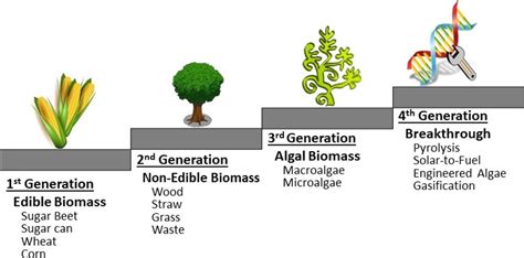 Biofuels Advantages and Disadvantages in 2023 | Linquip