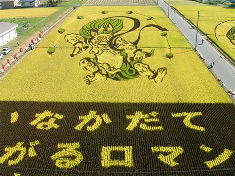 Japanese Town Transforms Rice Paddy Fields Into Gigantic Works Of Art ...