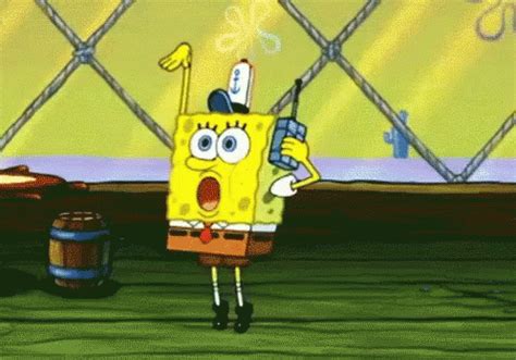 The Best 6 Spongebob Dancing Meme Gif - canningirpics