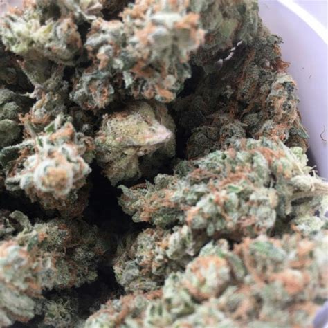 Afghani aka Afghan, Afghanistan Weed Strain Information | Leafly