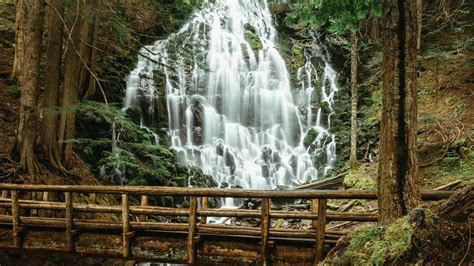 Mount Hood National Forest (U.S. National Park Service)