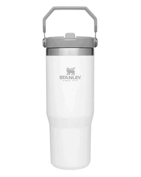 Stanley IceFlow Straw Tumbler 30 fl. oz. - The Buy Guide