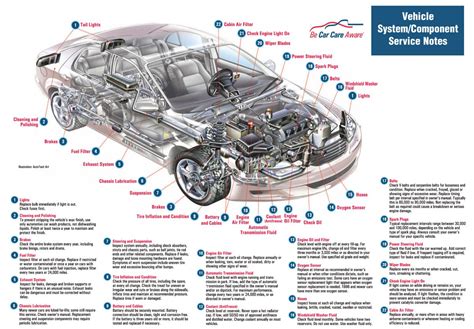 Exterior Car Body Parts Names Diagram