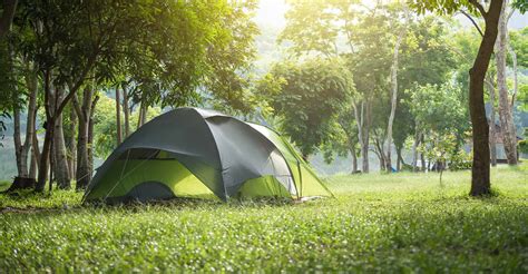 5 Best 4-Person Tents (Nov 2024 Review)