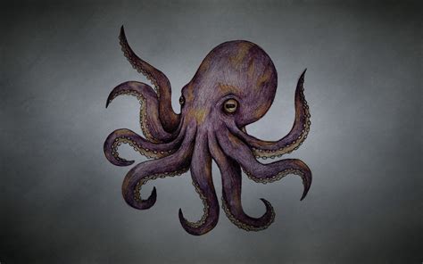 Octopus Art wallpaper | 1680x1050 | #9502