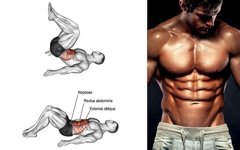 Exercises for Rectus Abdominis