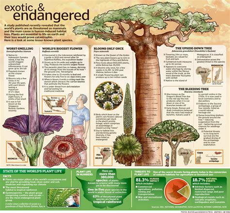 Endangered plants, Plants, Plant species