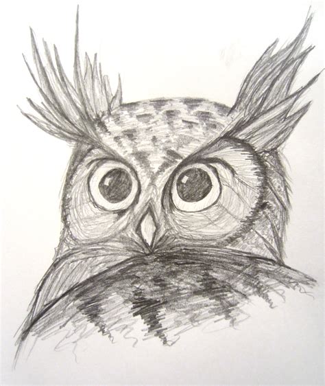 Horned Owl - sketch by Meteorman05 on DeviantArt