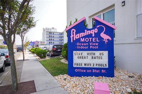 Downtown Ocean City MD Motels | Flamingo Motel | Affordable Lodging