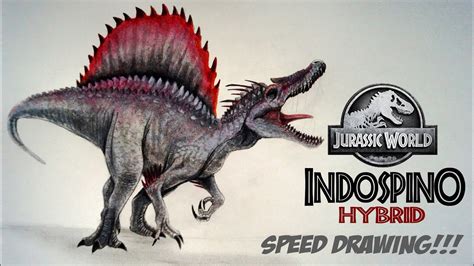 Drawing A Hybrid Dinosaur Spinosaurus Indominus Rex Full Body Hybrid ...