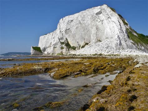 Whitecliff Bay - Photo "whitecliff bay at low tide" :: British Beaches