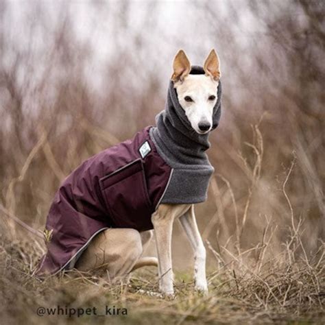 WHIPPET Winter Dog Coat Winter Coat for Dogs Waterproof - Etsy