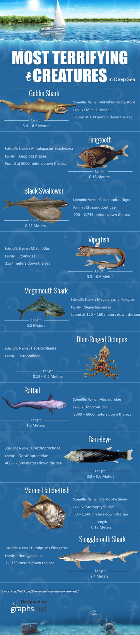 Infographic: The Most Terrifying Creatures in Deep Sea | MaritimeCyprus