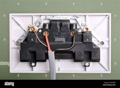 Electrical Socket Diagram