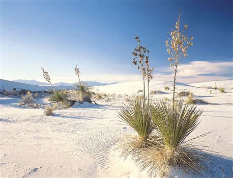 White Sands National Park | New Mexico, Map, & Facts | Britannica