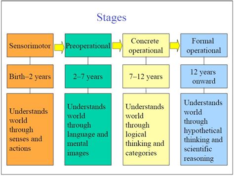 Piaget’s Cognitive Development Theory on emaze