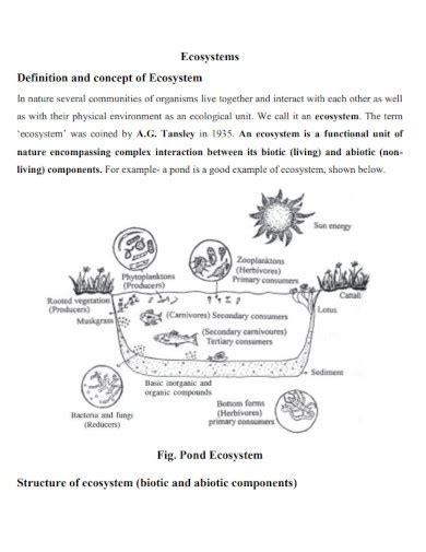 Ecosystem - 99+ Examples, How to Illustrate, PDF