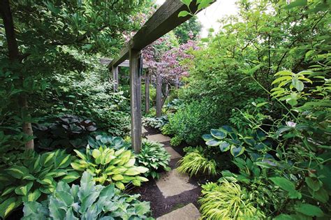 Shade Gardens: Ideas, Design & Inspiration | Garden Design