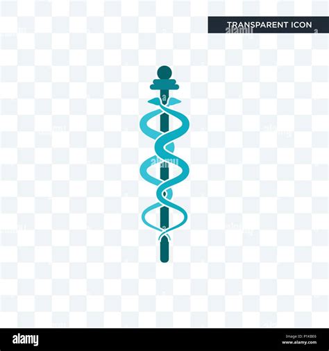 mbbs vector icon isolated on transparent background, mbbs logo concept ...