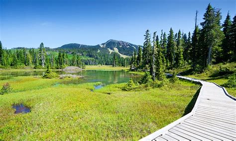 10 Top-Rated Hiking Trails on Vancouver Island, BC | PlanetWare