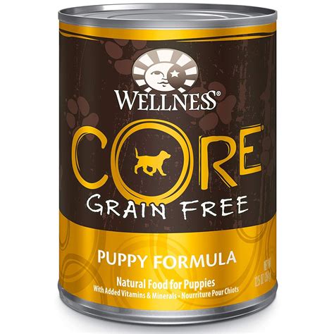 Wellness CORE Natural Grain Free Wet Canned Dog Food - Best top care ...