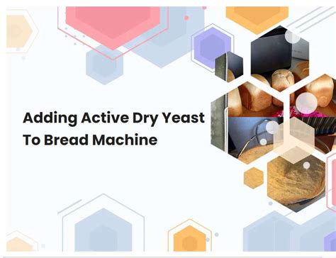 Adding Active Dry Yeast To Bread Machine | breadmach.com