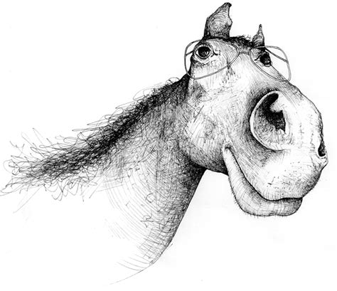 kate lindop illustration: Horse sketches