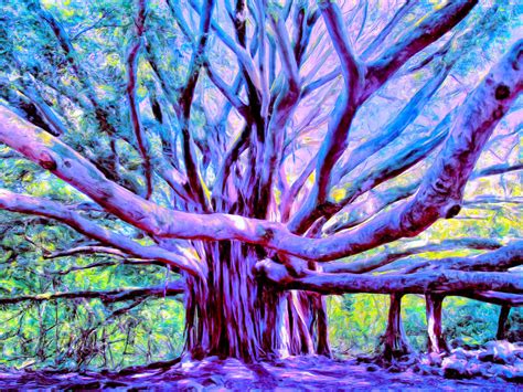 Banyan Tree Lahaina Maui Painting by Dominic Piperata