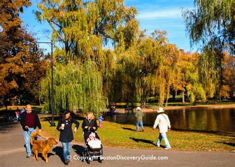 Boston's Public Garden | 10 Top Attractions | Boston Discovery Guide