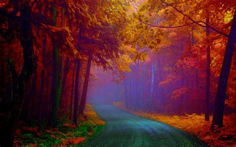 HD Autumn Fog Wallpaper | Download Free - 49253