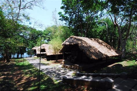 Kabini River Lodge - Kabini