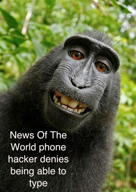 Anorak News | Crested Black Macaque Monkey Named As News Of The World ...