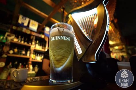 Guinness Extra Stout vs Draught: All You Need To Know About the Brews