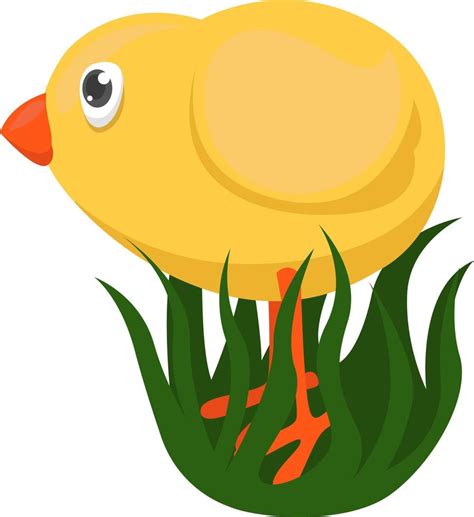 Yellow chick, illustration, vector on white background 13722087 Vector ...