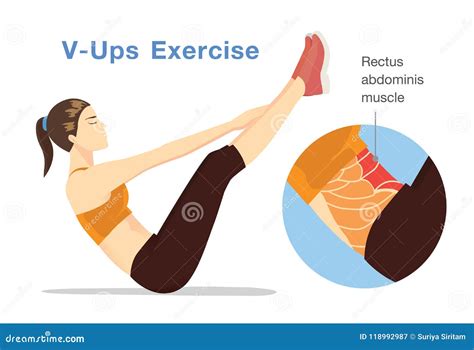 Rectus Abdominis Strengthening Exercises