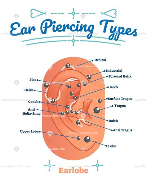 Parts Of Ear Piercing Diagram