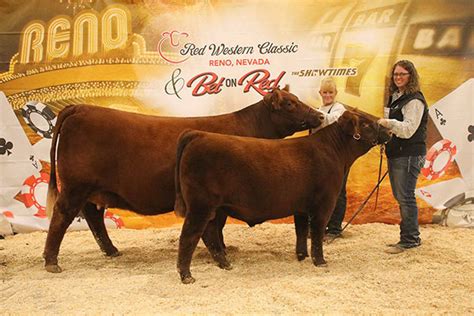 Western National Red Angus Show - Western States Red Angus Association ...