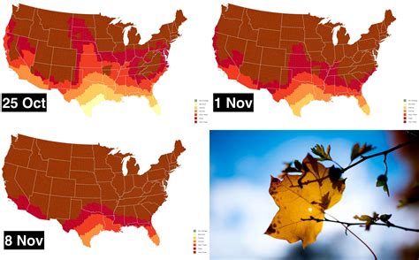 Fall Foliage 2024 Map - Tamra Florance