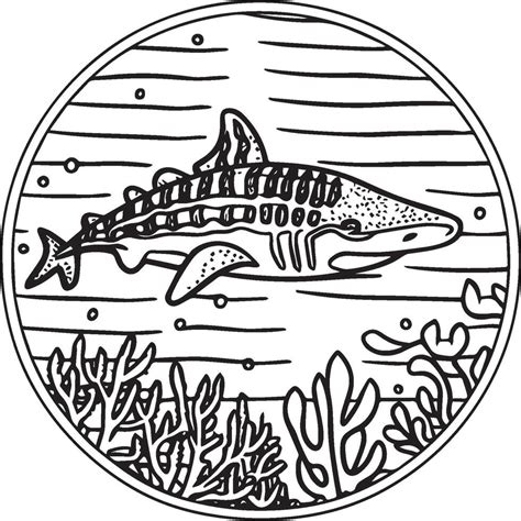 Whale Shark coloring pages. Whale Shark outline for coloring book ...