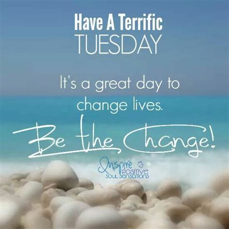 Have a terrific Tuesday | Happy tuesday quotes, Good morning quotes ...