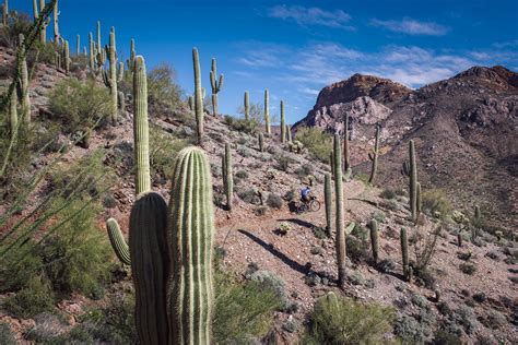 Arizona Trail Race Video - BIKEPACKING.com